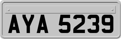 AYA5239