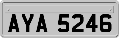 AYA5246