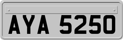 AYA5250