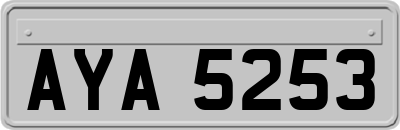 AYA5253