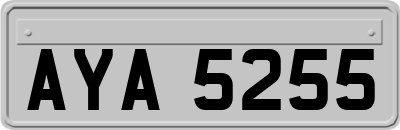 AYA5255