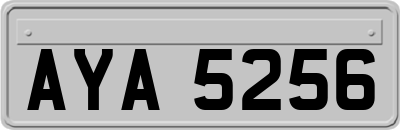 AYA5256