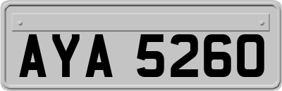 AYA5260