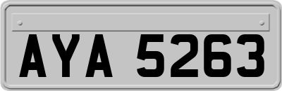 AYA5263