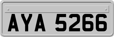 AYA5266