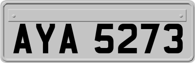 AYA5273