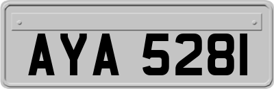 AYA5281