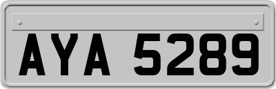 AYA5289