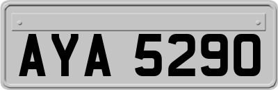 AYA5290