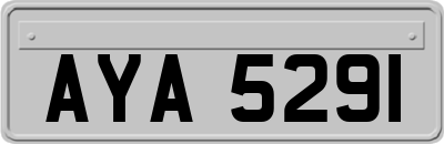 AYA5291
