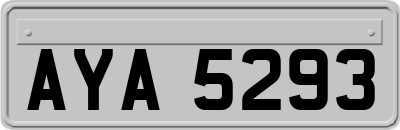 AYA5293