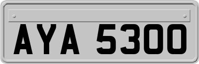 AYA5300