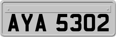 AYA5302
