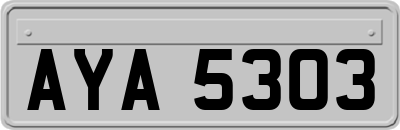 AYA5303