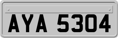 AYA5304