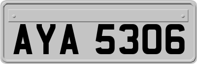AYA5306