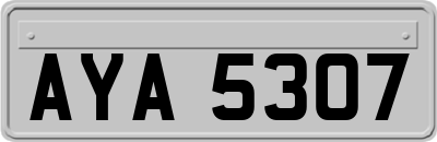 AYA5307