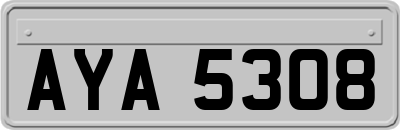 AYA5308