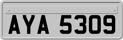 AYA5309