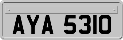AYA5310