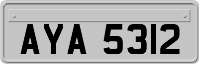 AYA5312