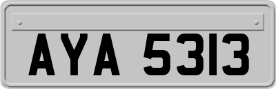 AYA5313
