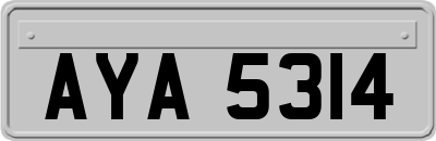 AYA5314