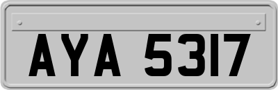 AYA5317