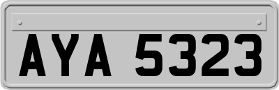 AYA5323