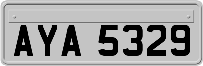 AYA5329