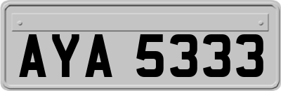 AYA5333