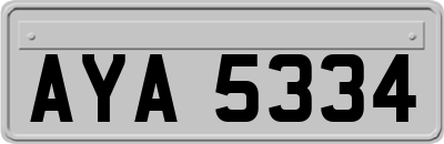 AYA5334