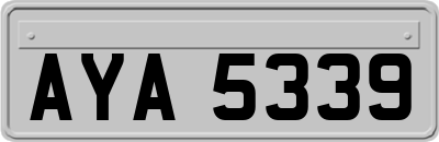 AYA5339