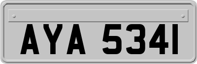 AYA5341
