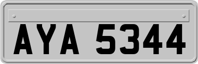 AYA5344