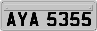 AYA5355