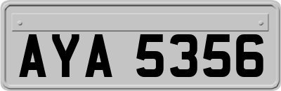 AYA5356