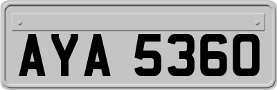 AYA5360
