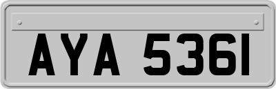 AYA5361