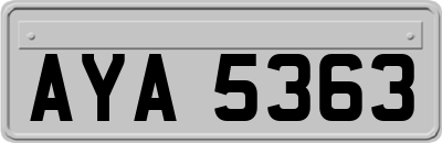 AYA5363