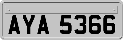 AYA5366