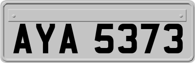 AYA5373