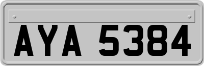 AYA5384