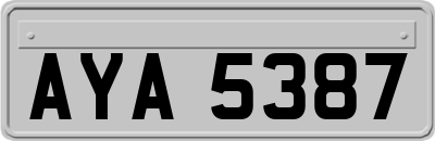AYA5387