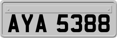 AYA5388