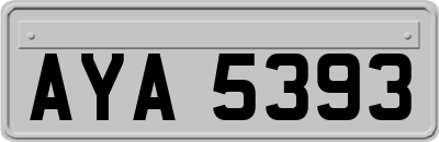 AYA5393