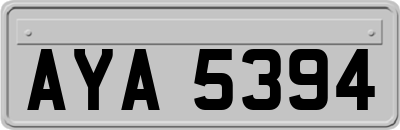 AYA5394