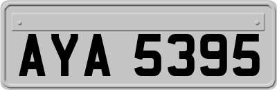AYA5395