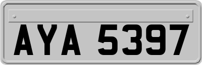 AYA5397