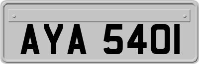 AYA5401